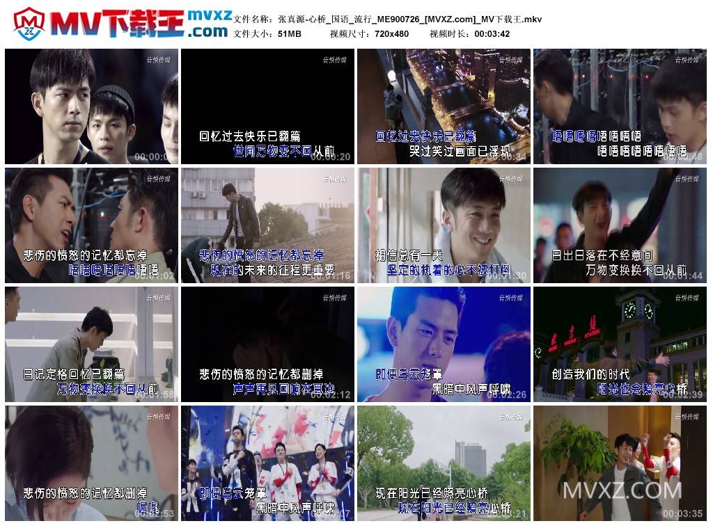 张真源-心桥_国语_流行_ME900726